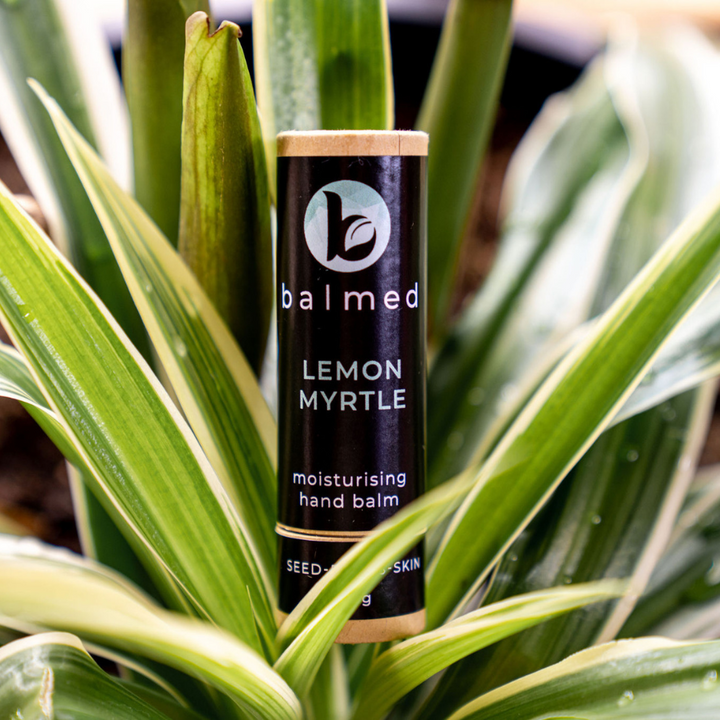 Lemon Myrtle Moisturising hand balm in a plant